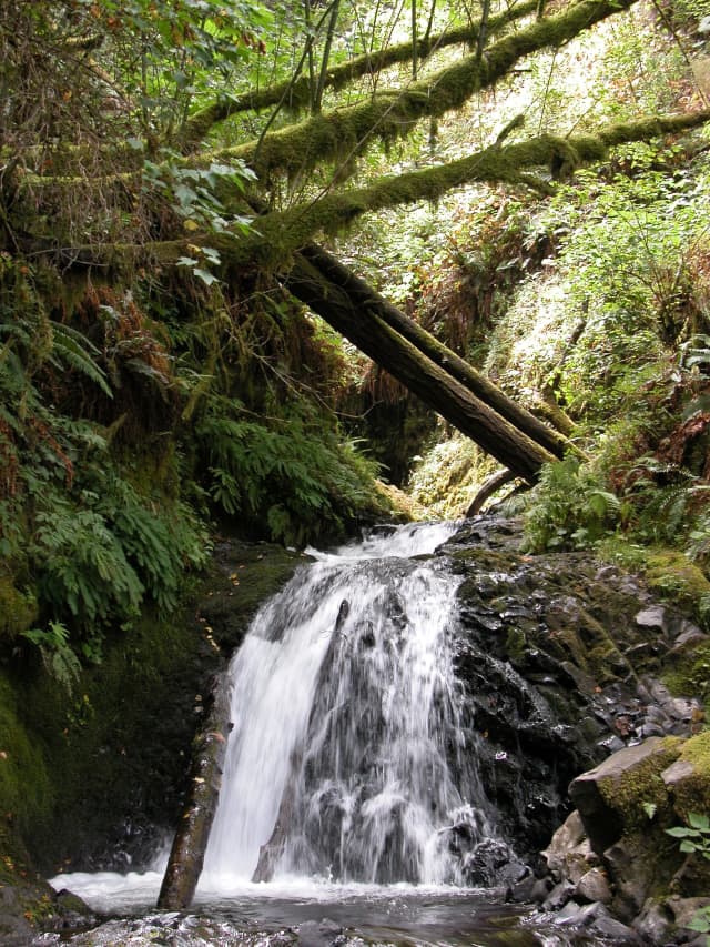 Land 05, a landscape photograph by Bob McNeil