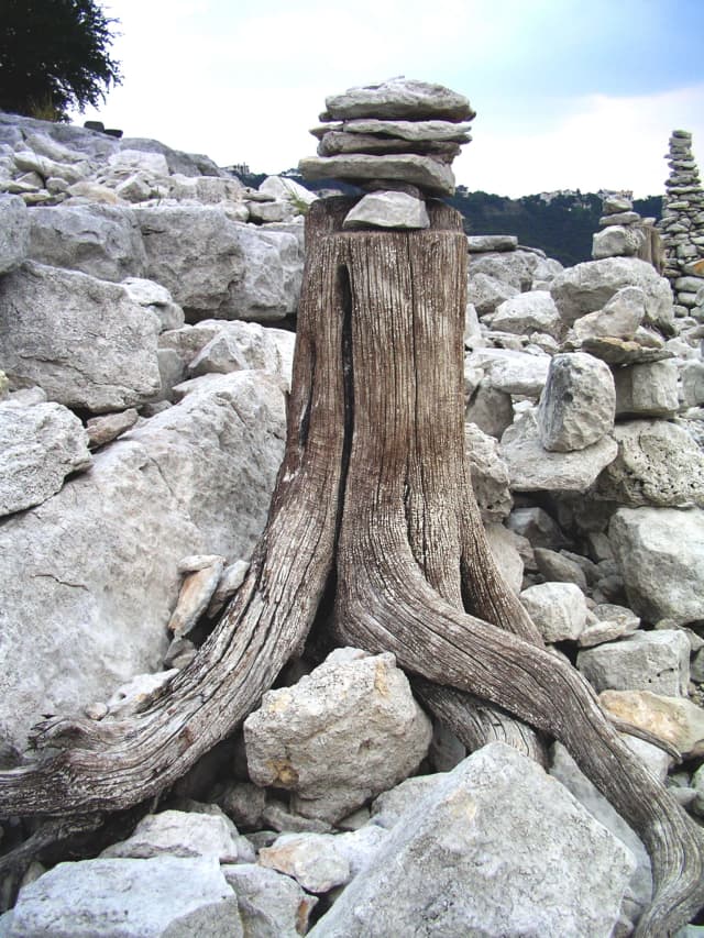 Land 06, a landscape photograph by Bob McNeil