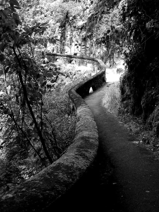Land 15, a landscape photograph by Bob McNeil