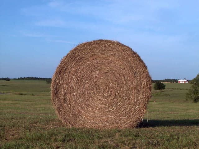 Texas - Hay Bale, a landscape photograph by Bob McNeil