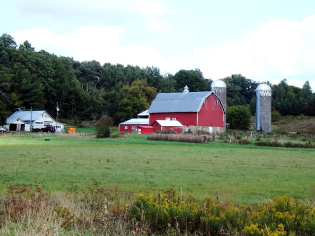September Road Trip 02, a documentary photograph by Bob McNeil