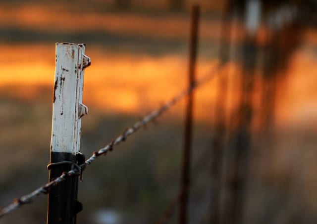 Texas Fence Post and Barbed Wire, a documentary photograph by Bob McNeil