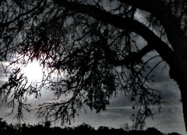Creekside Moonrise - Dramatic Effect 01, a moon photograph by Bob McNeil