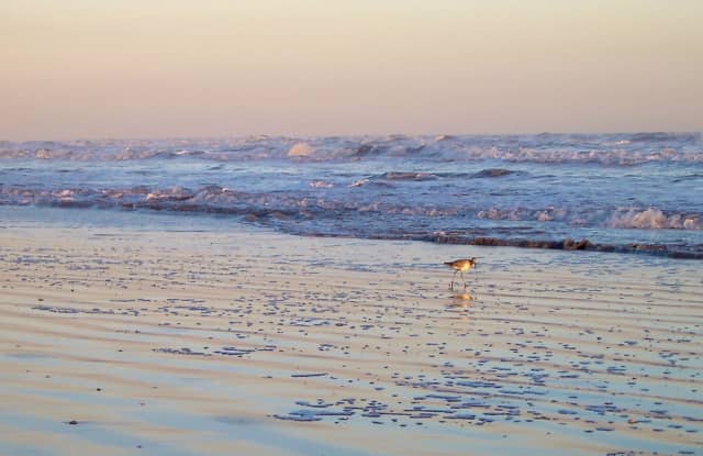 Sea 04, a seascape photograph by Bob McNeil