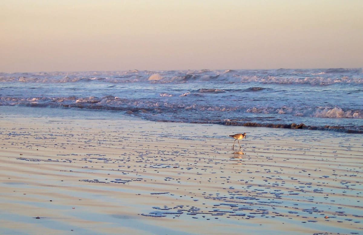 Sea 04, a seascape photograph by Bob McNeil