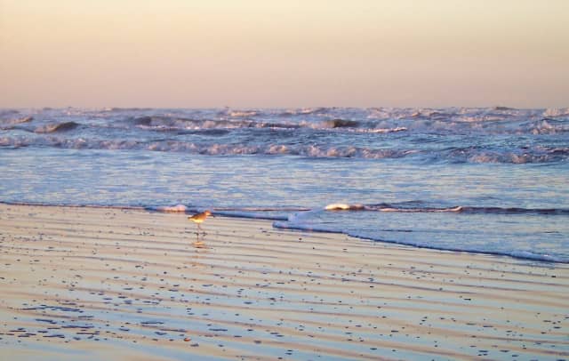 Sea 07, a seascape photograph by Bob McNeil