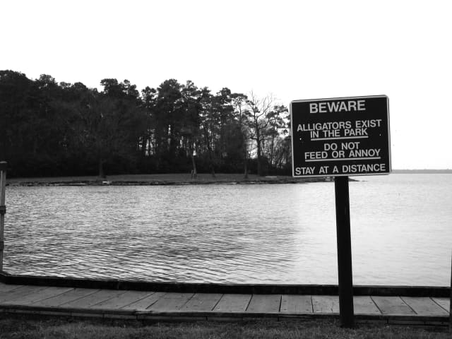 Signs 22, a sign photograph by Bob McNeil