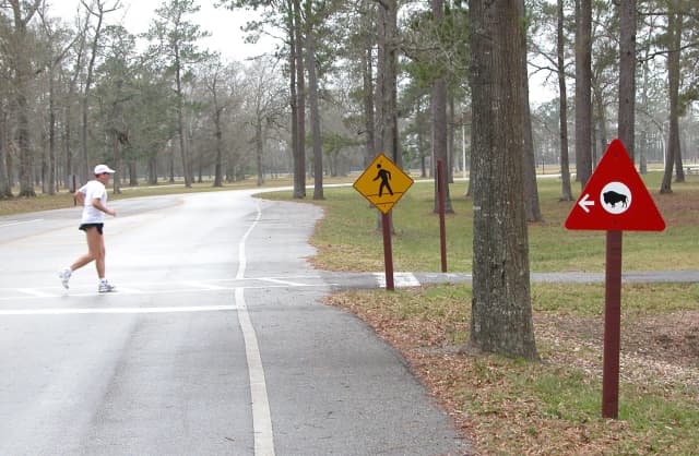 Signs 26, a sign photograph by Bob McNeil