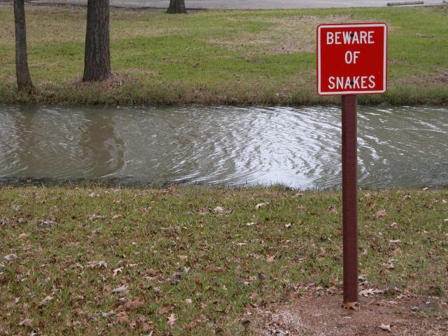 Signs 31, a sign photograph by Bob McNeil