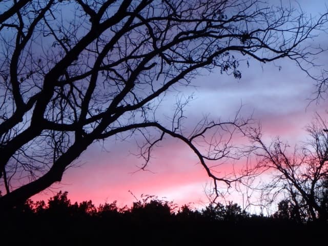 Sun 12, a sunrise and sunset photograph by Bob McNeil