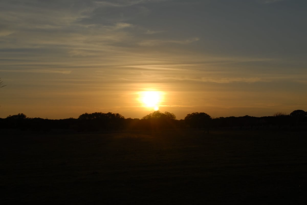 A soft gold sunrise breaking over a distant treeline across open ground